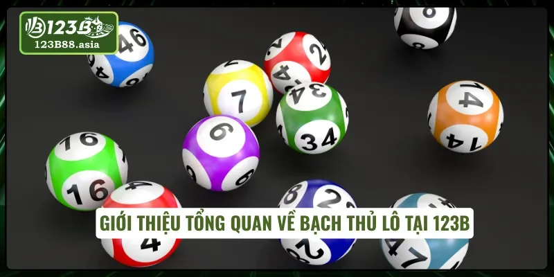 Giới thiệu tổng quan về bạch thủ lô tại 123B