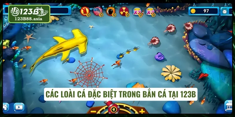 Những loài cá cực hiếm trong bắn cá đại dương