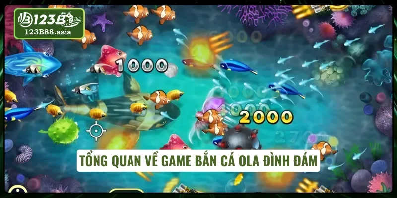 Bắn cá Ola là gì?