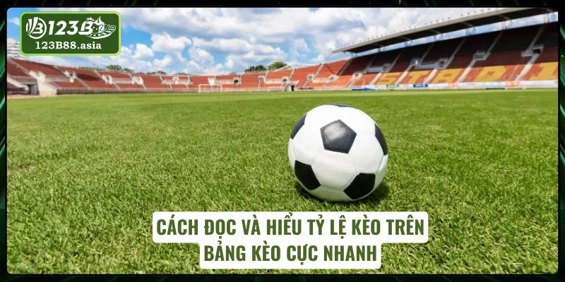 Bí kíp đọc bảng tỷ lệ chơi kèo châu Á nhanh chóng