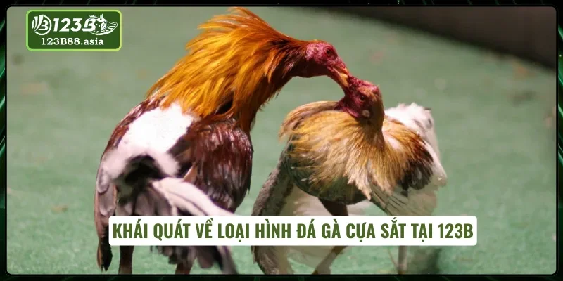 Giới thiệu chi tiết cho kê thủ về đá gà cựa sắt
