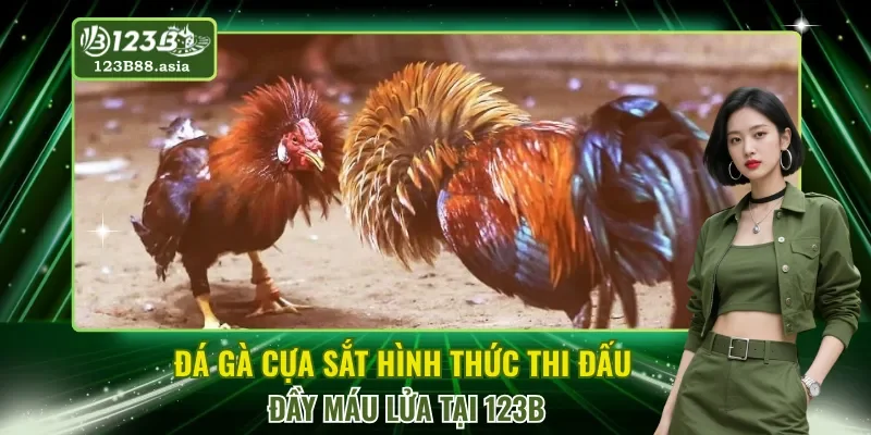 Đá Gà Cựa Sắt
