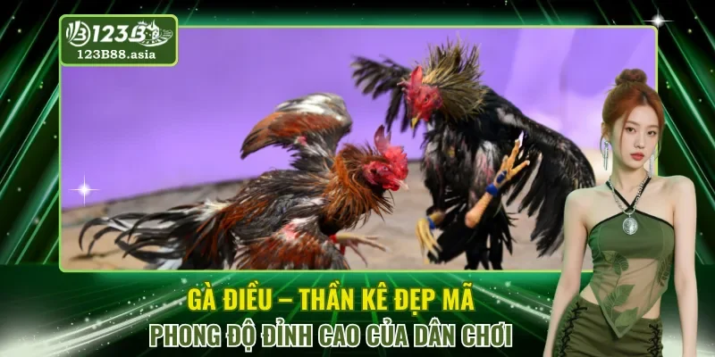 Gà Điều