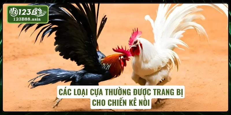 03 loại cựa cho chiến kê gà nòi