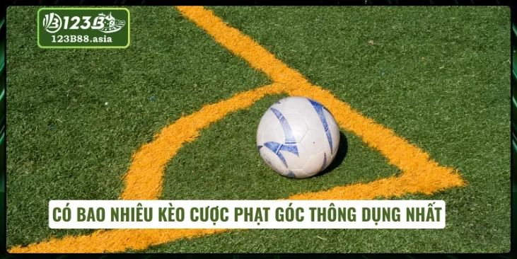 Khám phá các loại kèo phạt góc thông dụng