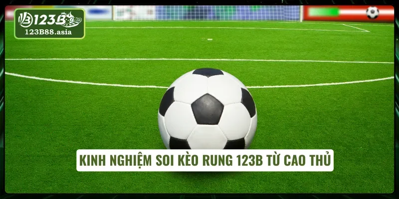 Kinh nghiệm soi kèo rung 123B từ cao thủ