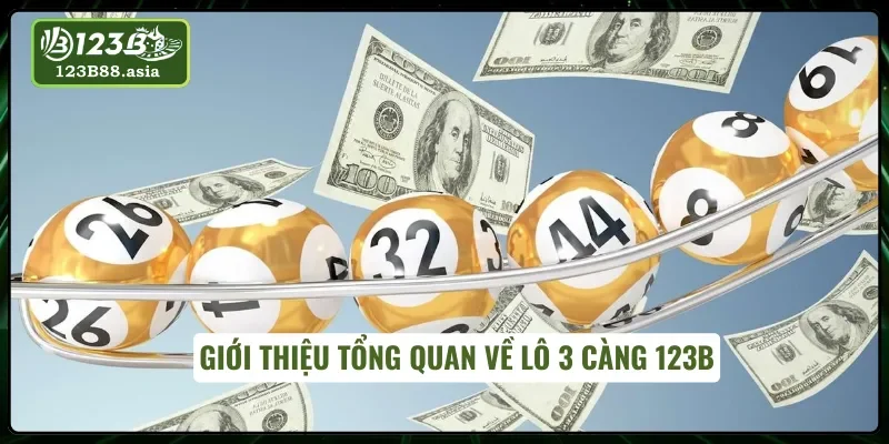 Giới thiệu tổng quan về lô 3 càng 123B