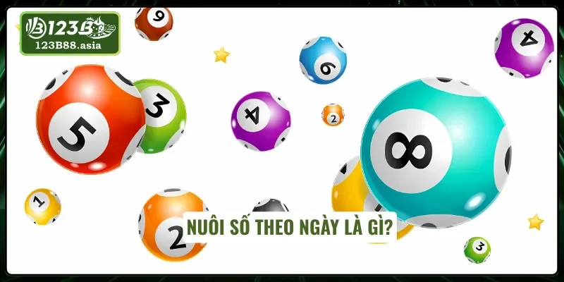 Khái niệm nuôi số theo ngày như thế nào?