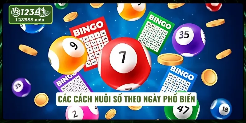 Những phương pháp nuôi số theo khung ngày thường gặp