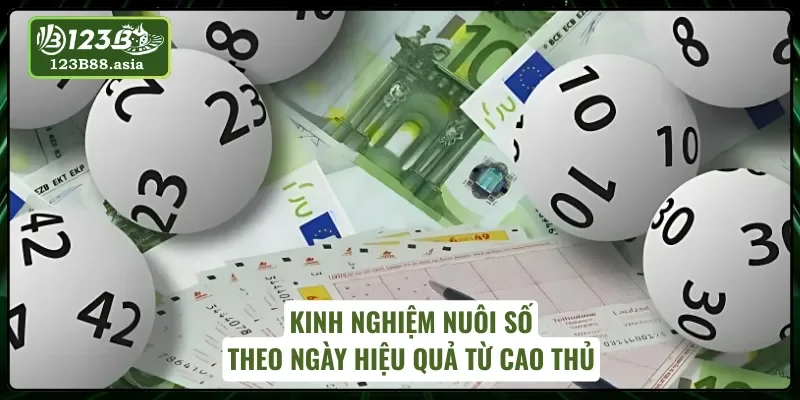 3 tips hữu ích giúp bạn nuôi số theo ngày hiệu quả