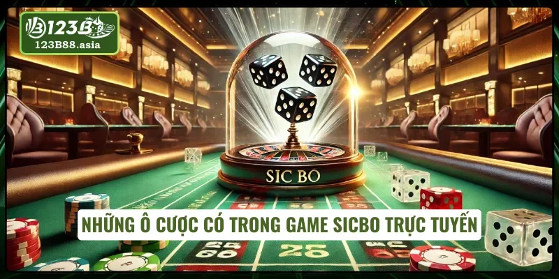 Tìm hiểu các ô cược có tại Sicbo online