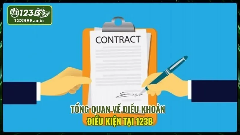 Tổng Quan Về Điều Khoản Điều Kiện Tại 123b