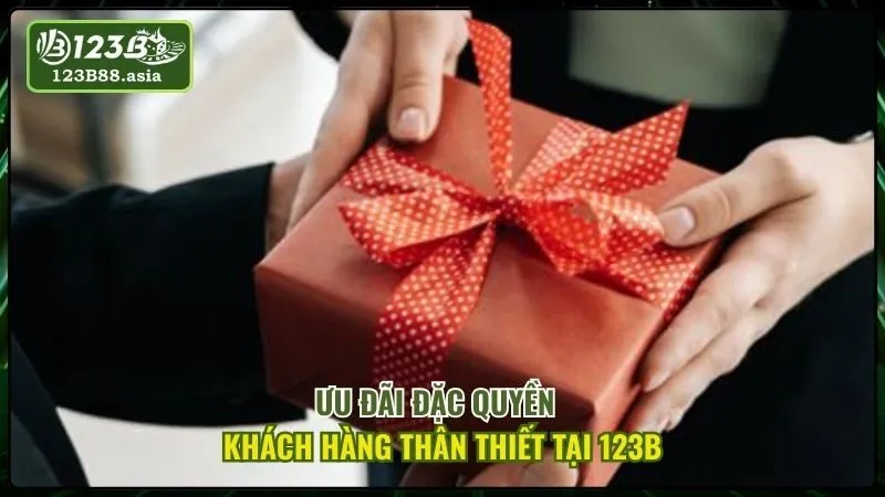 Ưu Đãi Đặc Quyền Khách Hàng Thân Thiết Tại 123b